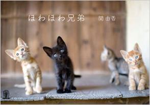 Yuka Seki globe trots as a photographer shooting cats